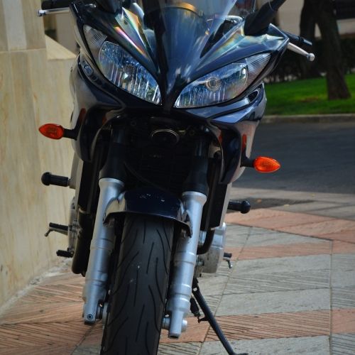 cordero 022