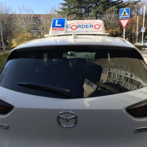 cordero 033